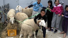 أسعار الأضاحي والأدوات المدرسية تفسد عطلة الجزائريين