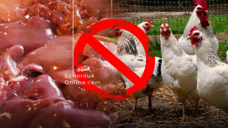 حملات مقاطعة واسعة لشراء كبد الدجاج