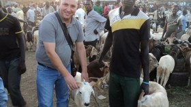 كبش العيد بمليون سنتيم في بوركينافاسو و5 ملايين في الجزائر !