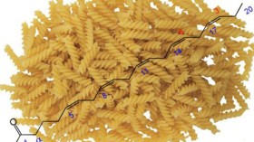 علماء إيرانيون ينجحون بإنتاج معكرونة مشبعة بحمض “أوميغا – 3”