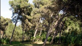 مديرية الغابات تتدعم بأزيد من 800 جهاز لاسلكي متطور