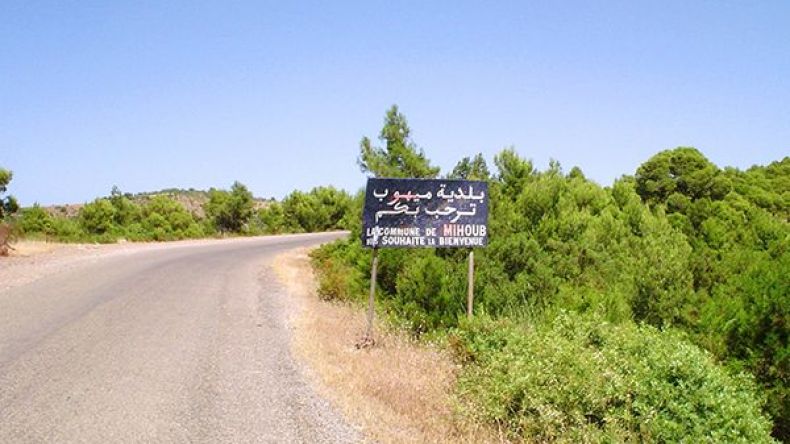 أكثر من 16 هزة ارتدادية ضربت بلدية الميهوب بالمدية