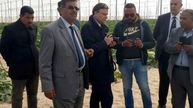 التحضير لإتفاقية توأمة بين الغرفتين الفلاحيتين بالوادي وبولونيا