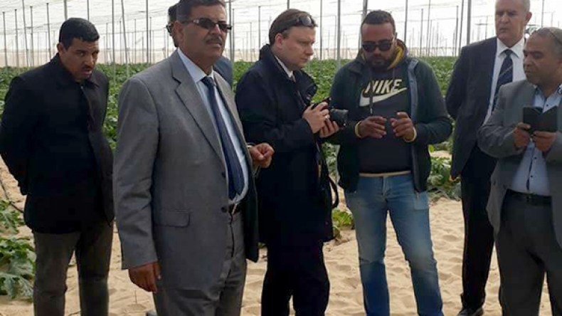 التحضير لإتفاقية توأمة بين الغرفتين الفلاحيتين بالوادي وبولونيا