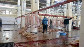 ظروف ذبح غير صحية بمذبح مدينة جانت بإيليزي