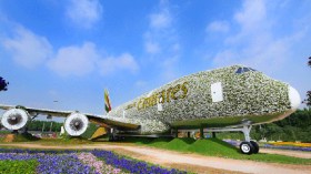 بالفيديو.. دبي تبني أكبر طائرة حقيقية من الزهور