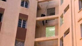 إنقاذ قطة ظلت عالقة أسبوعا في أعلى عمارة