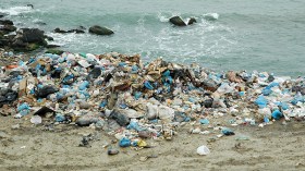 مصطافون يقاطعون شاطئ الأطفال في بومرداس خوفا من الأوبئة