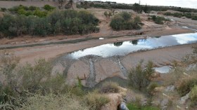 توسيع مصب الصرف الصحي يلتهم المساحات الفلاحية بالوادي