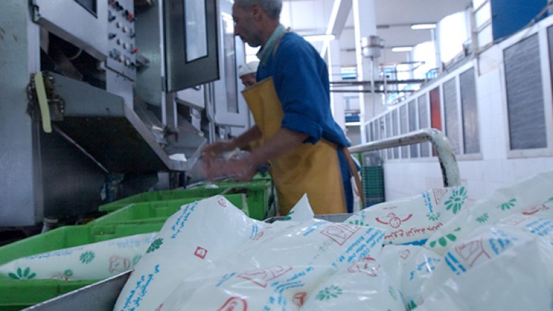 الحليب في “علب كارتونية” بداية من مارس