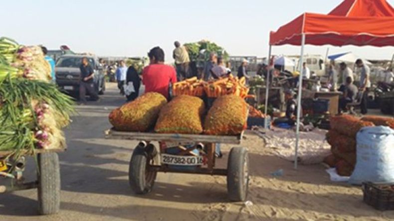 فوضى عارمة ومشادة يومية بسوق الجملة للخضر بالوادي