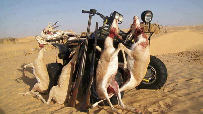 الصيد العشوائي للحيوانات محور ملتقى للدرك الوطني بورقلة