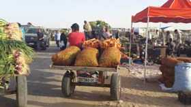 الأسواق الأسبوعية في ولاية الوادي موروث حضاري ومتنفس تجاري
