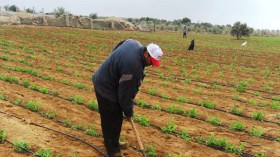 فلاحو وزيتن وبوحميد يرفضون إنجاز سكنات فوق أراضيهم