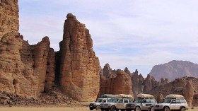 8 دراسات لحماية التنوّع البيولوجي بتمنراست وإيليزي