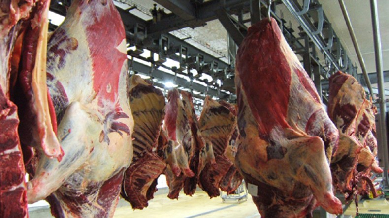 حجز 17 قنطارا من اللحوم الفاسدة والمجهولة بتقرت