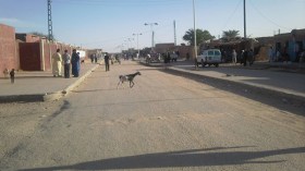 انقطاع الكهرباء يخرج سكان برج باجي مختار للشارع