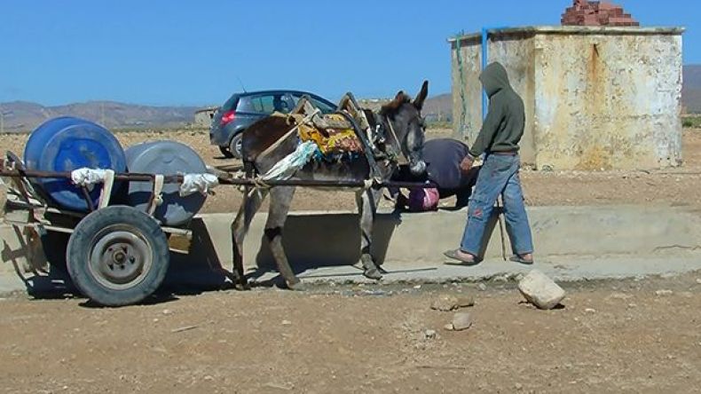 نقص في المياه والبناء الريفي.. ومطالب بالتحقيق في مشروع الطريق