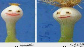 هذه أكثر الصور الساخرة انتشارا قبيل العيد؟!