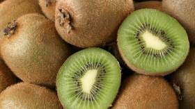 حجز 5 قناطير من الكيوي المهرّب من تونس بتبسة