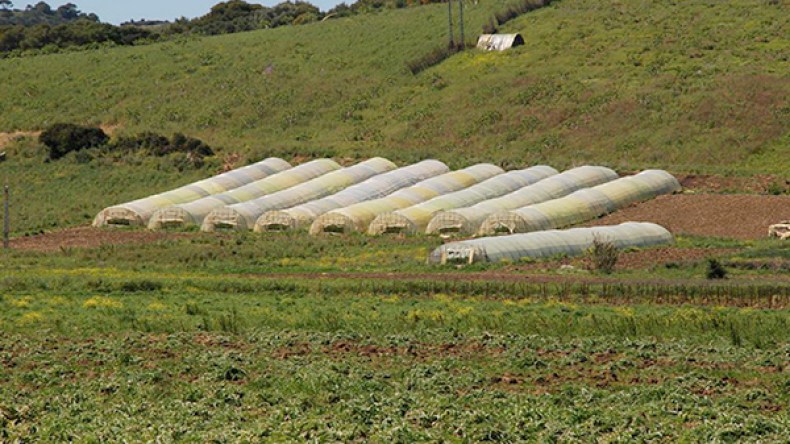 قطاع الفلاحة يقدم أضعف عروض العمل بالمسيلة