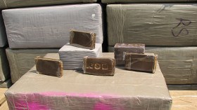 سيّدة تستغل طفليها لتهريب المخدرات ببلعباس!