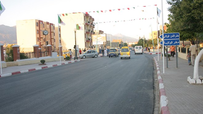 إلغاء 6 قرارات استفادة لمستثمرين مزيفين بالبويرة