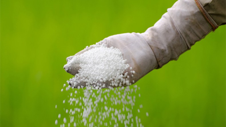 الأسمدة المستوردة مضرة بالصحة وعديمة الفائدة