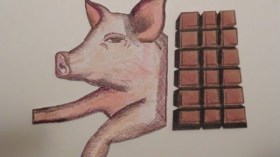 شوكلاطة بشحم الخنزير تروّج بأسواق تبسة