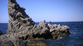 إنقاذ صياد علق بين الصخور بشاطئ في عين تموشنت