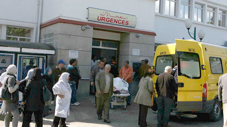 ذئب مسعور يهاجم عائلة ليلا ويدخل أفرادها المستشفى بالشلف