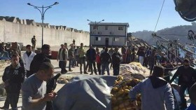 3 آلاف صياد يشلون ميناء سطورة الاقتصادي في سكيكدة