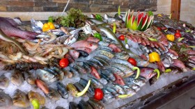 مطاعم تنهب جيوب مواطنيها وتقدّم أسماكا مجمّدة!