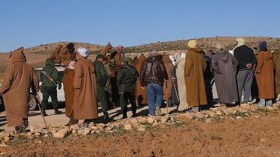 منتجو القمح في منطقة النطاق الجمركي بالوادي يحتجون