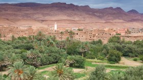 نحو تجمع مغاربي للجمعيات المهتمة بالواحات