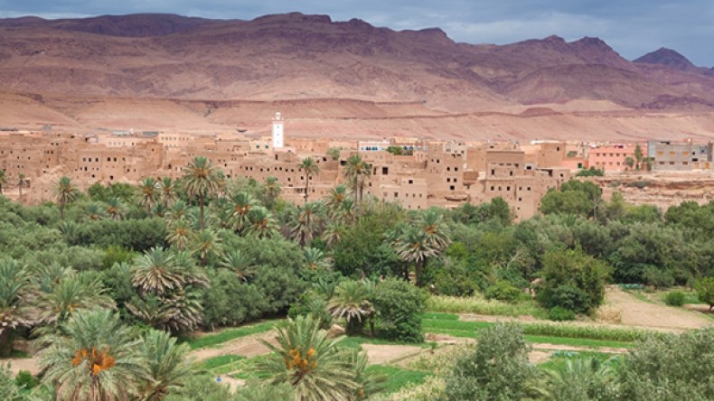 نحو تجمع مغاربي للجمعيات المهتمة بالواحات