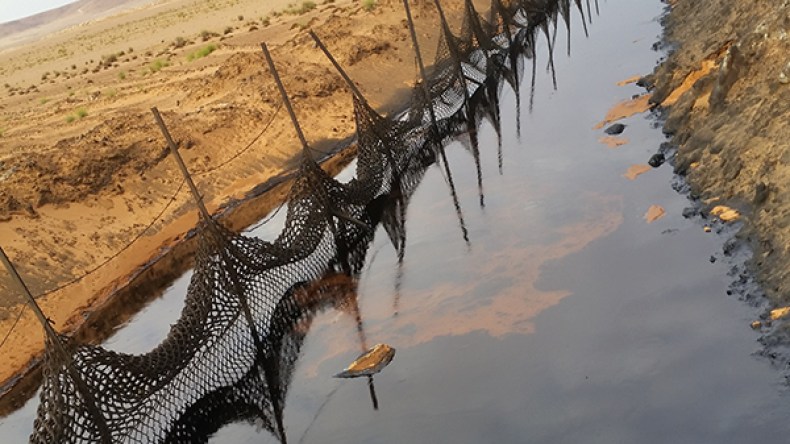 المواد الكيمائية تهدّد سلامة العمال بحاسي مسعود