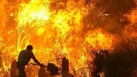 غرق 4 أشخاص والنيران تلتهم عشرات الهكتارات عبر عدة ولايات