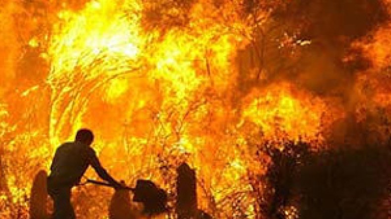 غرق 4 أشخاص والنيران تلتهم عشرات الهكتارات عبر عدة ولايات