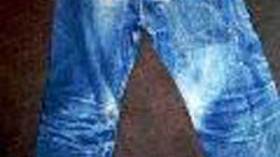 مجلس شيوخ فلوريدا يقر قانونا ضد السراويل الفاضحة