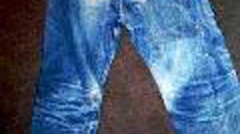 مجلس شيوخ فلوريدا يقر قانونا ضد السراويل الفاضحة