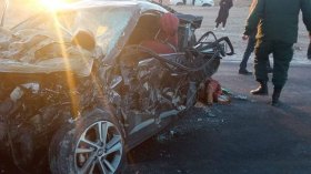 بالصور.. 8 قتلى في حادث مرور بالوادي