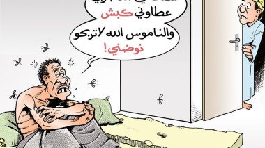 الناموس