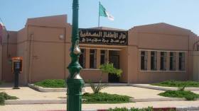 أمهات عازبات يغامرن لاستعادة أبنائهن من مراكز الطفولة