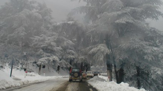 وفاة شيخ متجمدا من شدة البرد في غابة بسوق أهراس