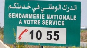 “الرقم الأخضر” للدرك الوطني أوقف 2500 مجرم