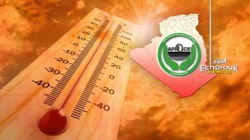 “حماية المستهلك” تحذر من ضربات الشمس