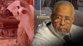 قسوم لـ الشروق: سنصدر فتوى حكم الأضحية الأحد