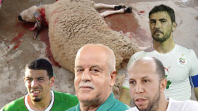 سعدان وعريبي وزافور محترفون في نحر الأضاحي.. والأغلبية تعترف بالفشل