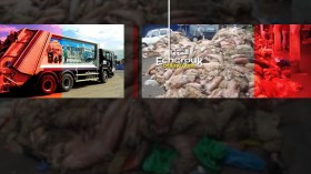 14 ألف طن من بقايا الأضاحي رميت في المزابل!